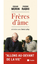 Freres d'ame  -  entretiens avec denis lafay