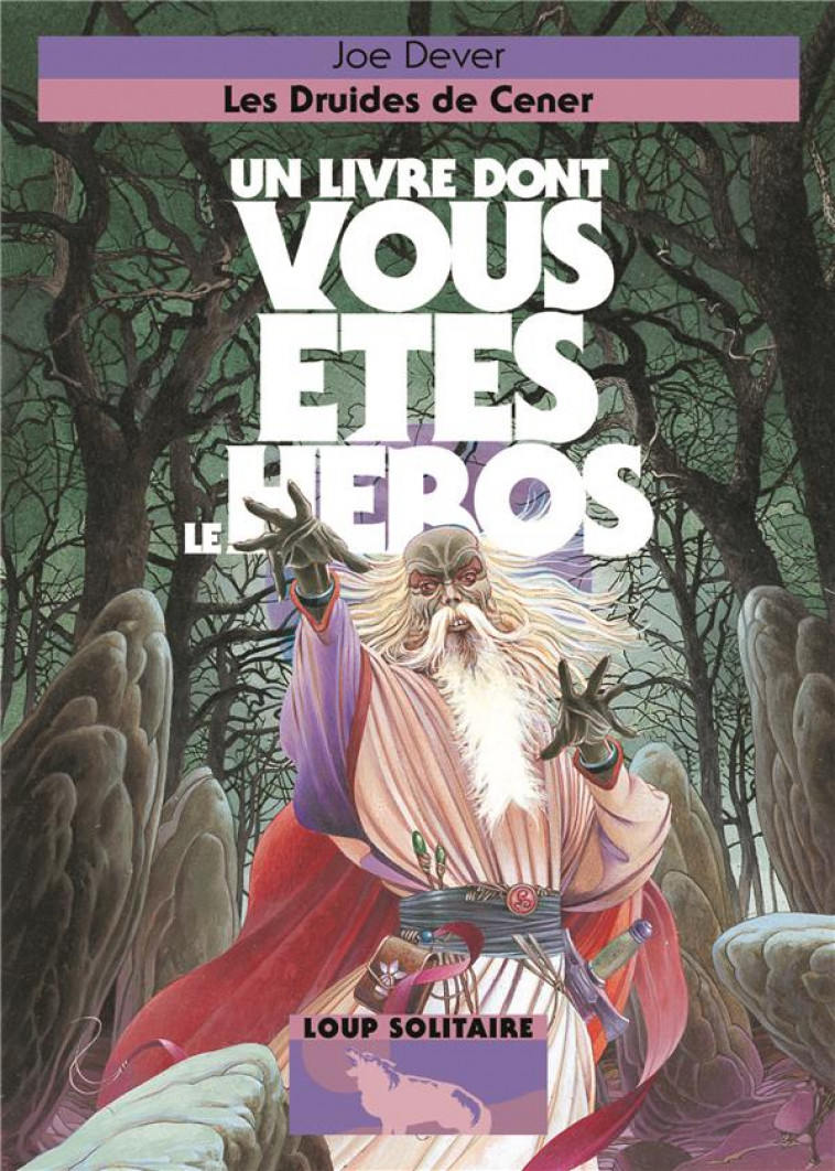 LES DRUIDES DE CENER - DEVER/WILLIAMS - Gallimard-Jeunesse