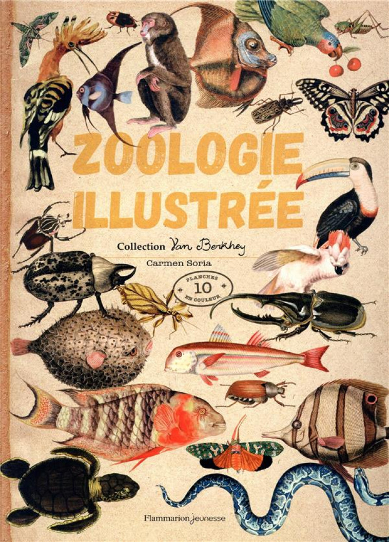 ZOOLOGIE ILLUSTREE - COLLECTION VAN BERKHEY - SORIA CARMEN - FLAMMARION