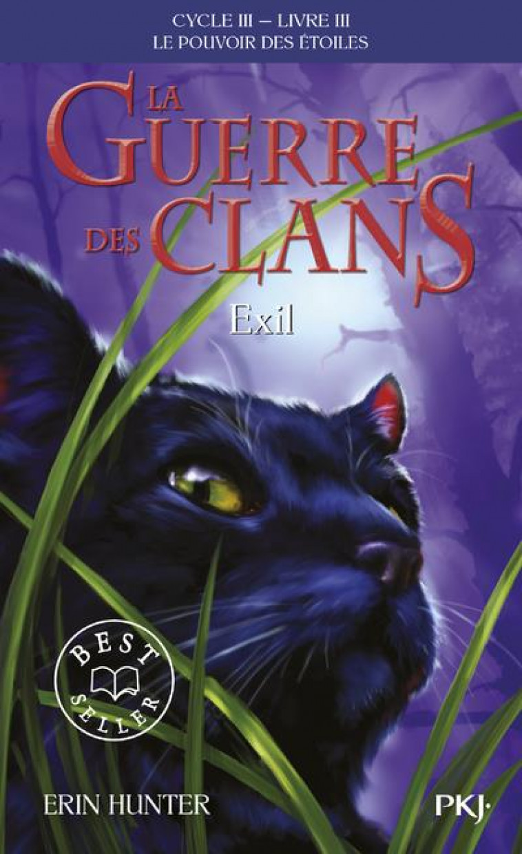 LA GUERRE DES CLANS CYCLE III - TOME 3 EXIL - VOL03 - HUNTER ERIN - POCKET