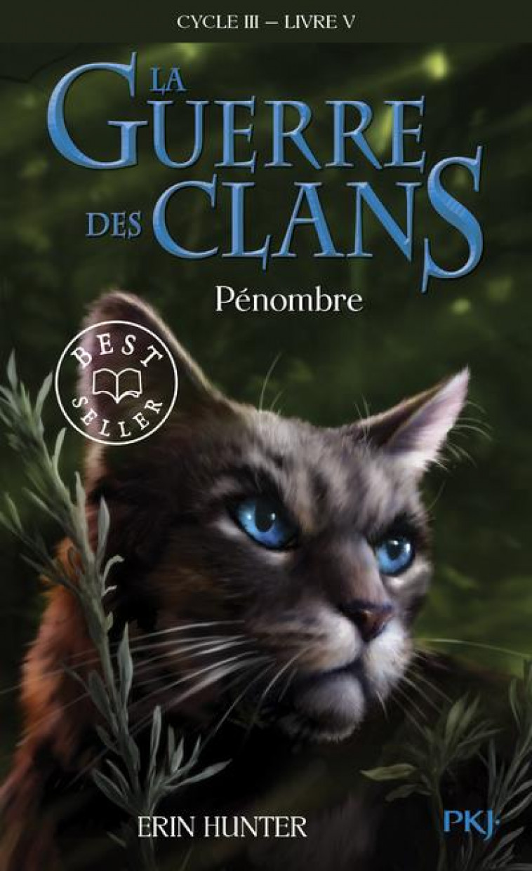 LA GUERRE DES CLANS - CYCLE III LE POUVOIR DES ETOILES - TOME 5 PENOMBRE - VOL05 - HUNTER ERIN - POCKET