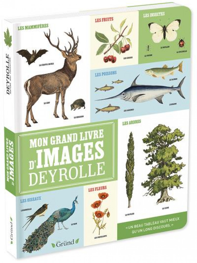 MON GRAND LIVRE D-IMAGES DEYROLLE - ALADJIDI/PELISSIER - GRUND