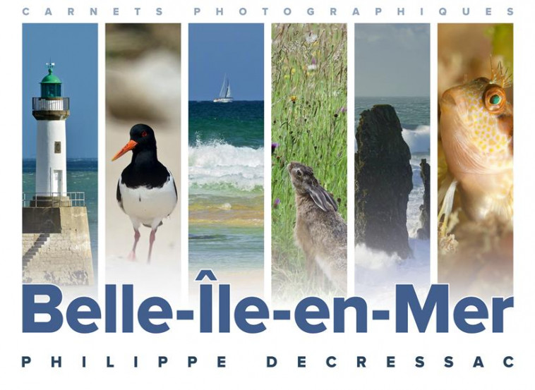 BELLE-ILE-EN-MER - DECRESSAC PHILIPPE - LIENART