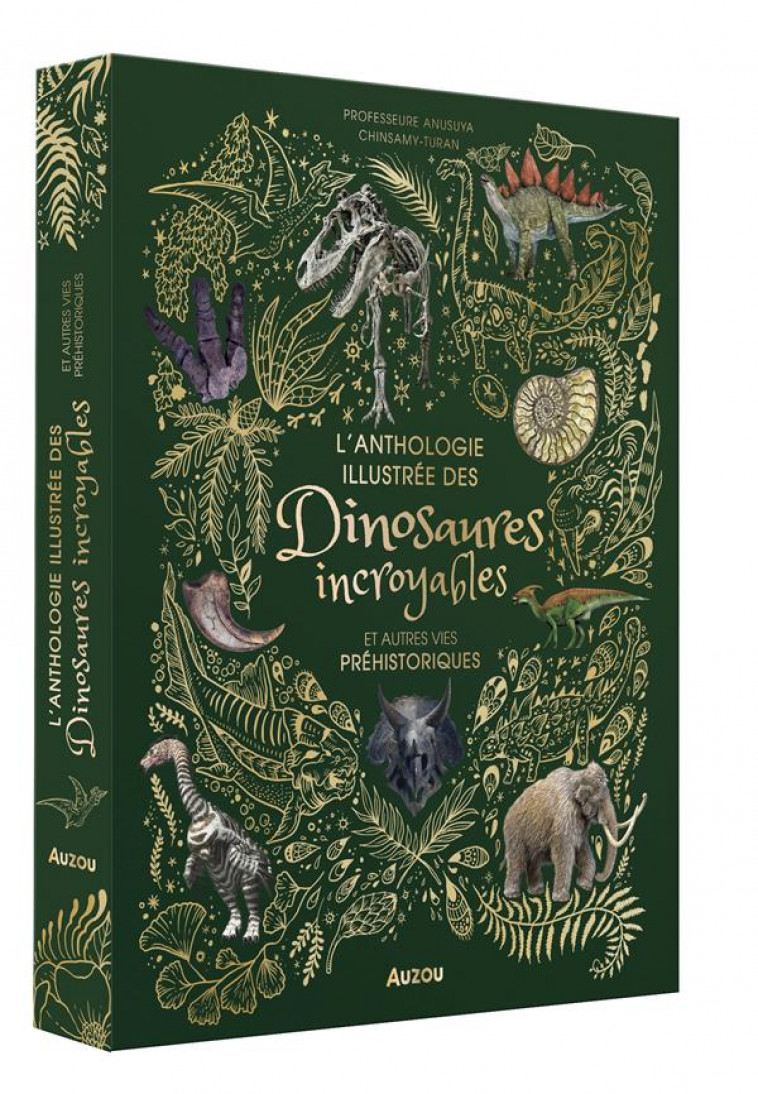 L-ANTHOLOGIE ILLUSTREE DES DINOSAURES INCROYABLES ET AUTRES VIES PREHISTORIQUES - BLATTNER CAROLINE - PHILIPPE AUZOU