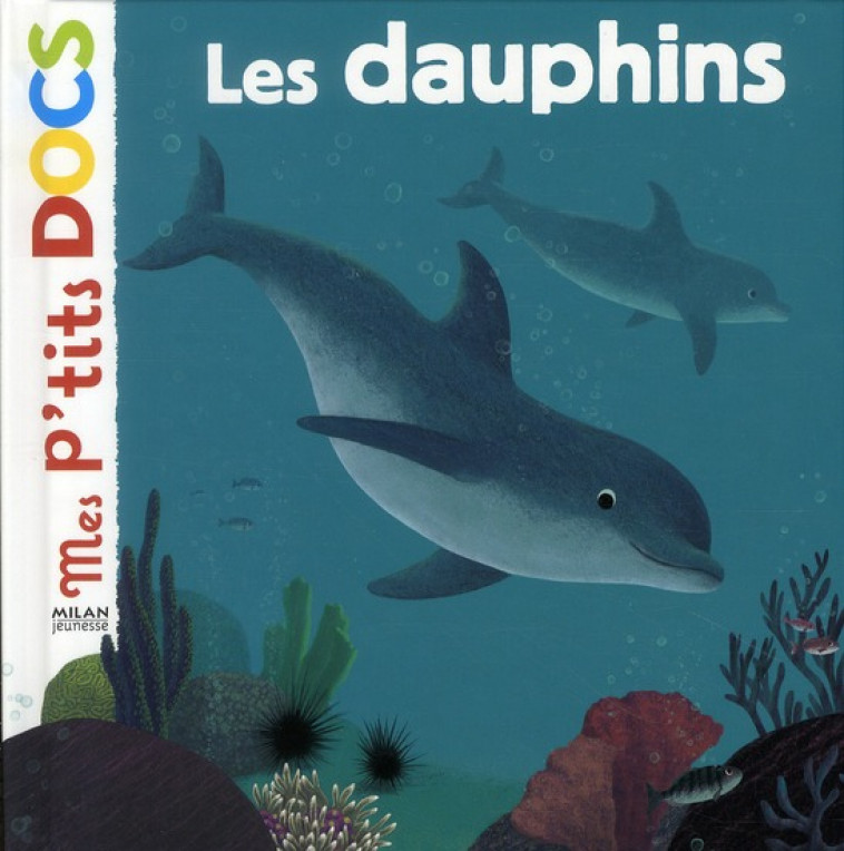 LES DAUPHINS - LEDU/FAULQUES - BD Kids