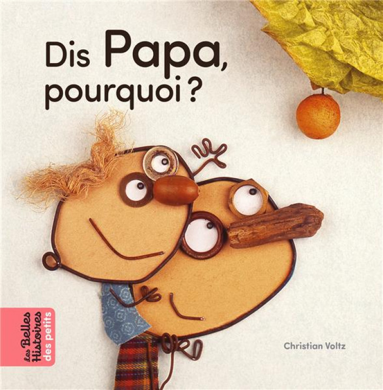 DIS PAPA, POURQUOI ? - VOLTZ CHRISTIAN - BAYARD JEUNESSE