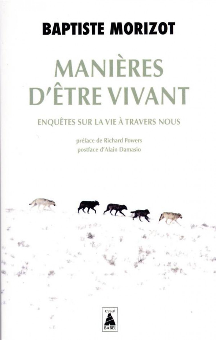 MANIERES D'ETRE VIVANT : ENQUETES SUR LA VIE A TRAVERS NOUS - MORIZOT, BAPTISTE - ACTES SUD