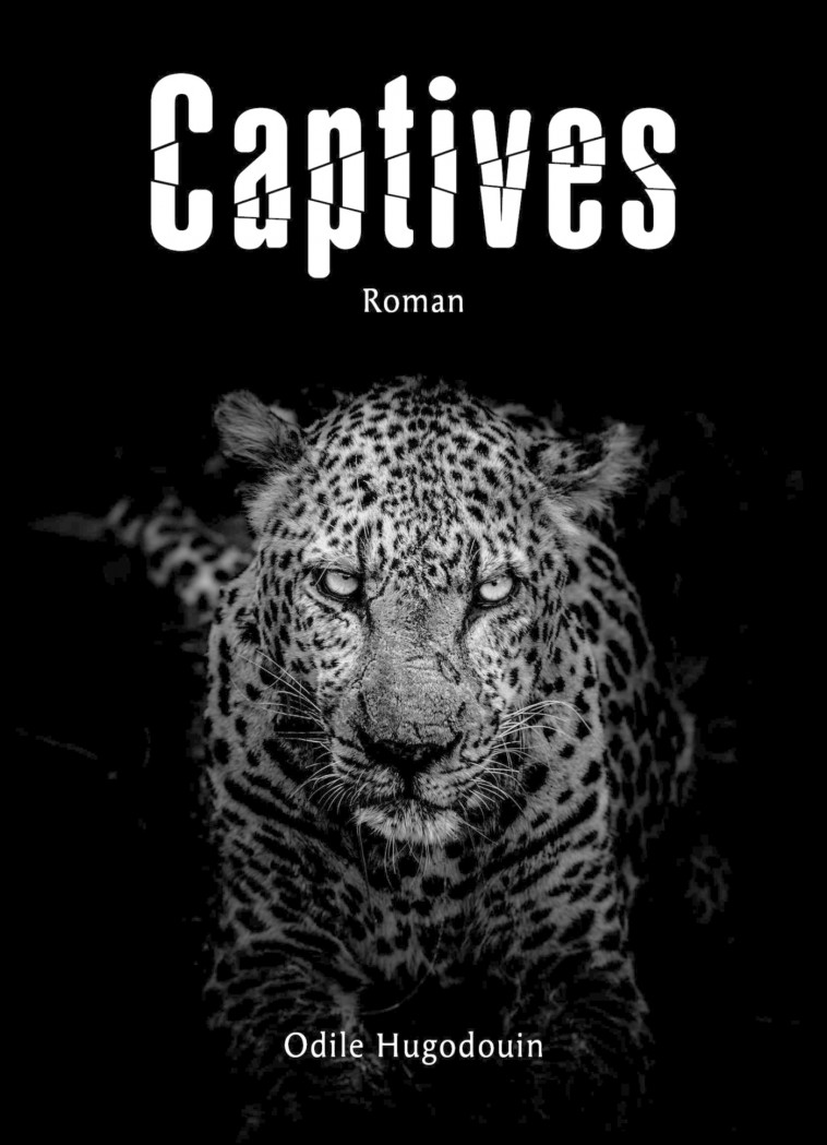 Captives - HUGODOUIN ODILE - LIBRINOVA