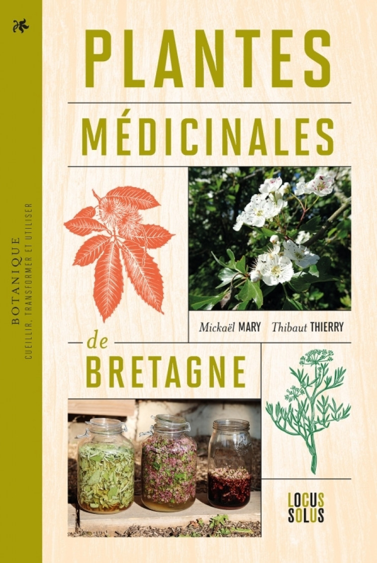 Plantes médicinales de Bretagne. Cueillir, transformer et utiliser - Mary Mickael, Thibaut Thierry - LOCUS SOLUS